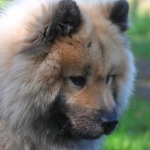 Казино с программами лояльности без депозита для новых игроков