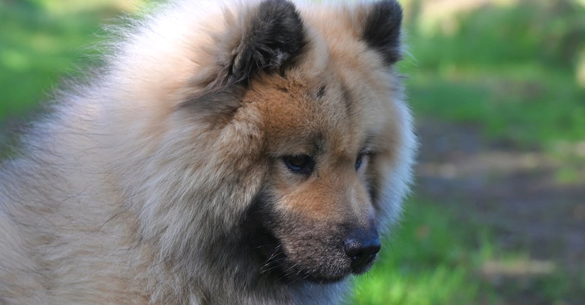 Казино с программами лояльности без депозита для новых игроков